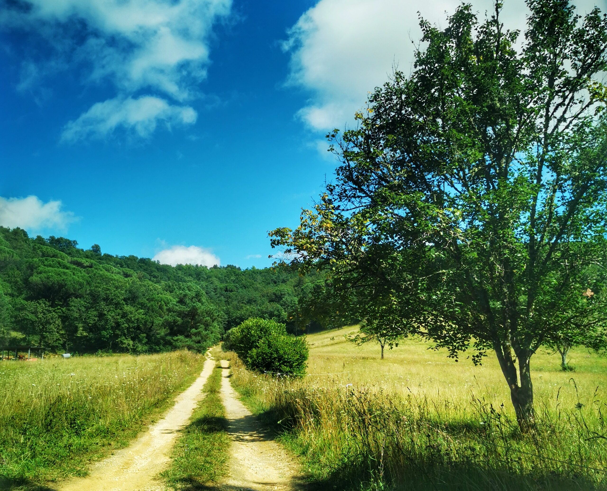 ROAD TRIP FRANCE