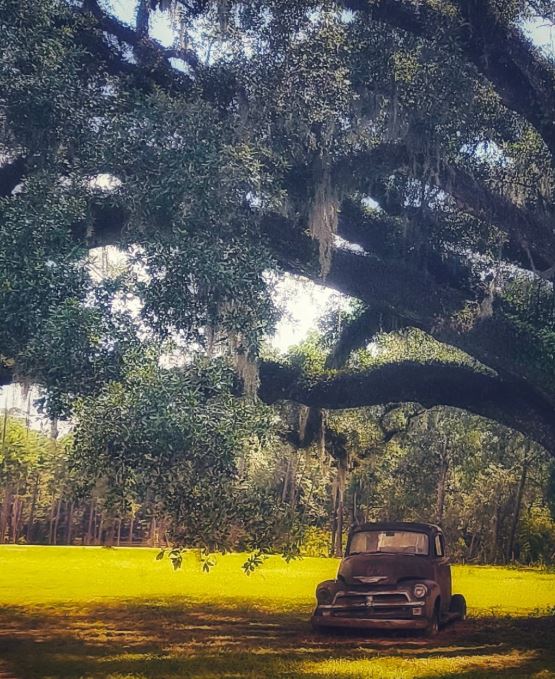 Une semaine en Louisiane : itinéraire complet entre bayous, plantations et La Nouvelle-Orléans